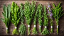 10 Ervas Medicinais que Você Precisa Ter em Casa