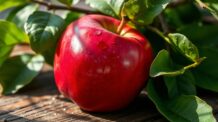 Por Que a Maçã É Considerada a Fruta da Saúde?